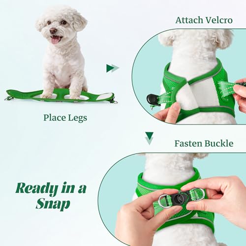YIMEIS Green Small Dog Harness and Leash Set - Breathable No-Pull Mesh Vest with Reflective Strips
