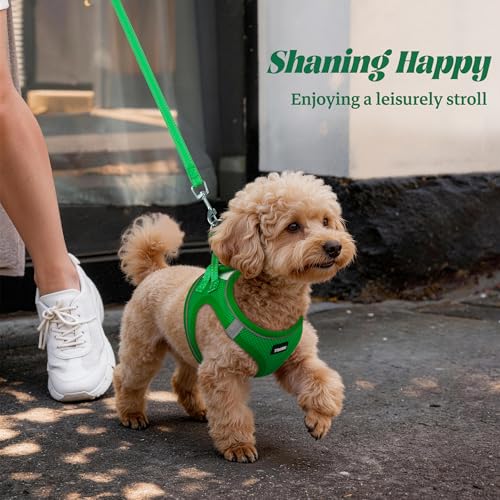 YIMEIS Green Small Dog Harness and Leash Set - Breathable No-Pull Mesh Vest with Reflective Strips