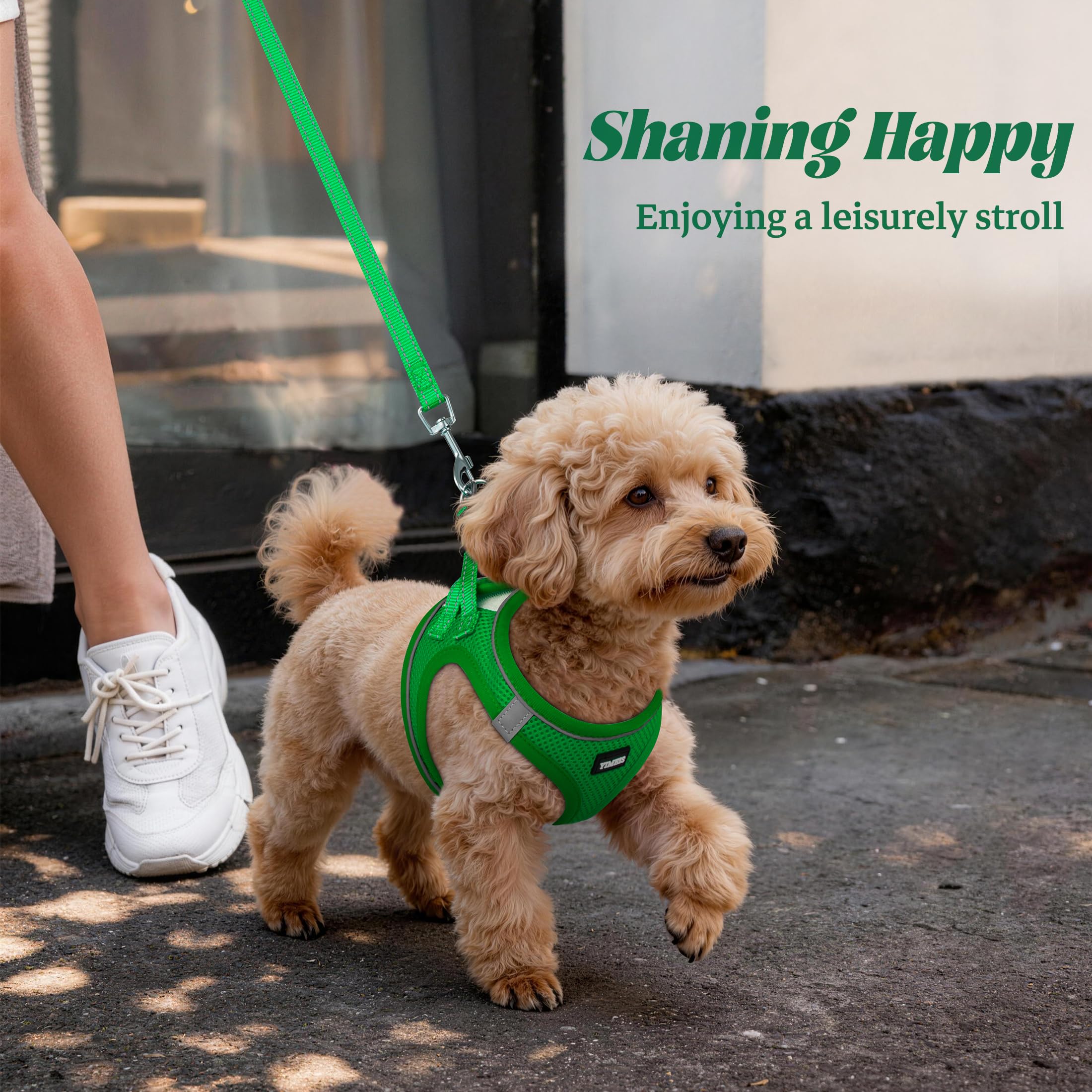 YIMEIS Green Small Dog Harness and Leash Set - Breathable No-Pull Mesh Vest with Reflective Strips