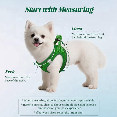 YIMEIS Green Small Dog Harness and Leash Set - Breathable No-Pull Mesh Vest with Reflective Strips