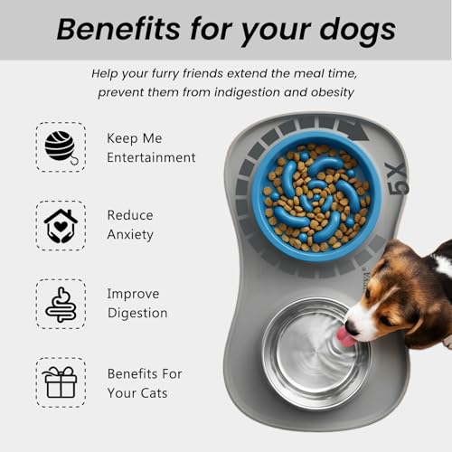 YINEYA 3-in-1 Slow Feeder Dog Bowl Set – Stainless Steel Bowls with Silicone Mat for Small to Medium Dogs