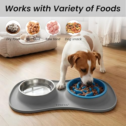 YINEYA 3-in-1 Slow Feeder Dog Bowl Set – Stainless Steel Bowls with Silicone Mat for Small to Medium Dogs