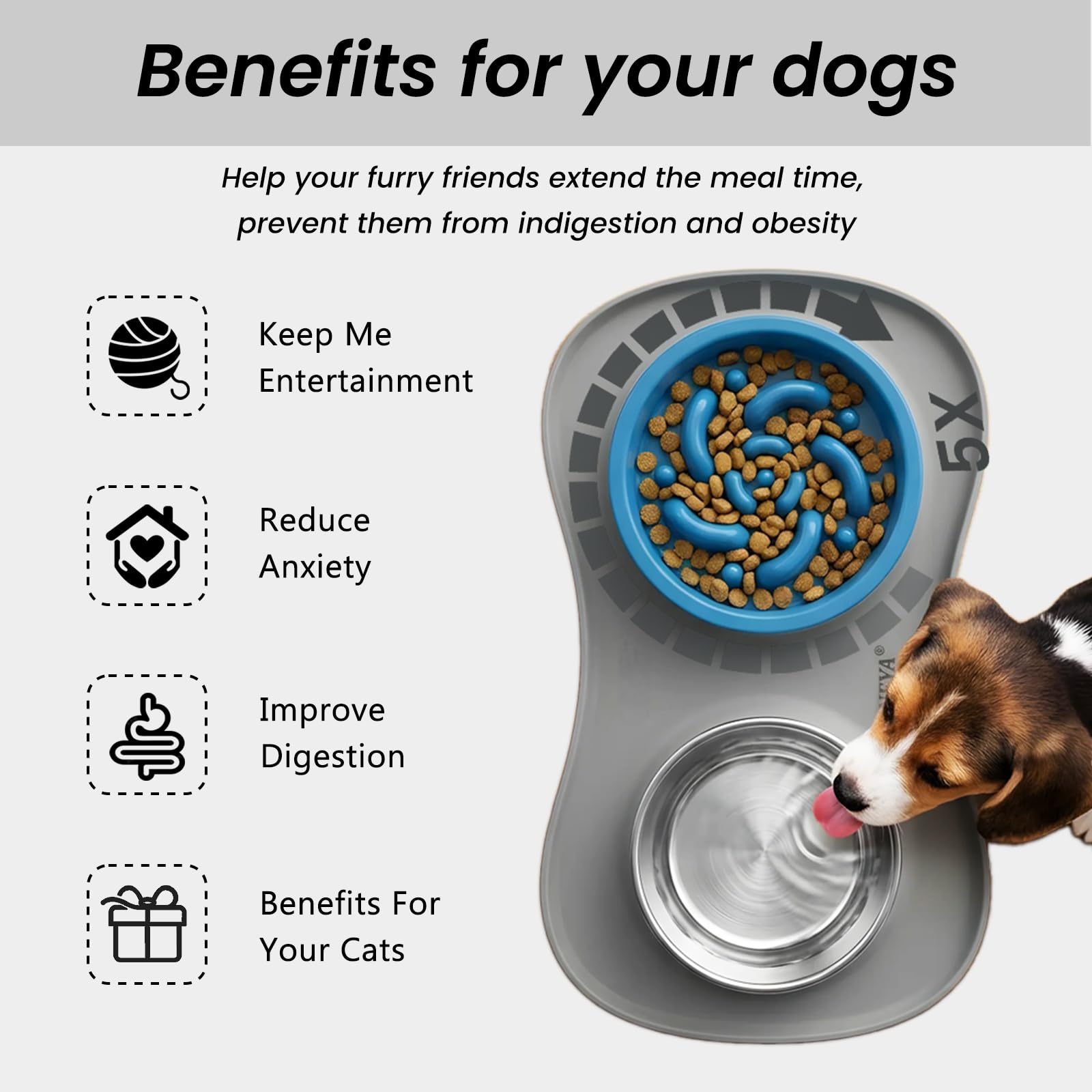 YINEYA 3-in-1 Slow Feeder Dog Bowl Set – Stainless Steel Bowls with Silicone Mat for Small to Medium Dogs