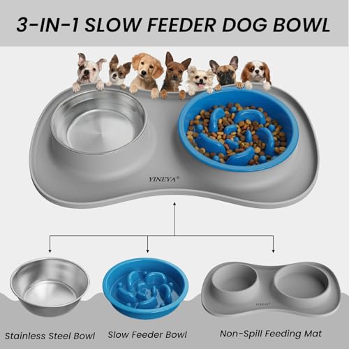 YINEYA 3-in-1 Slow Feeder Dog Bowl Set – Stainless Steel Bowls with Silicone Mat for Small to Medium Dogs