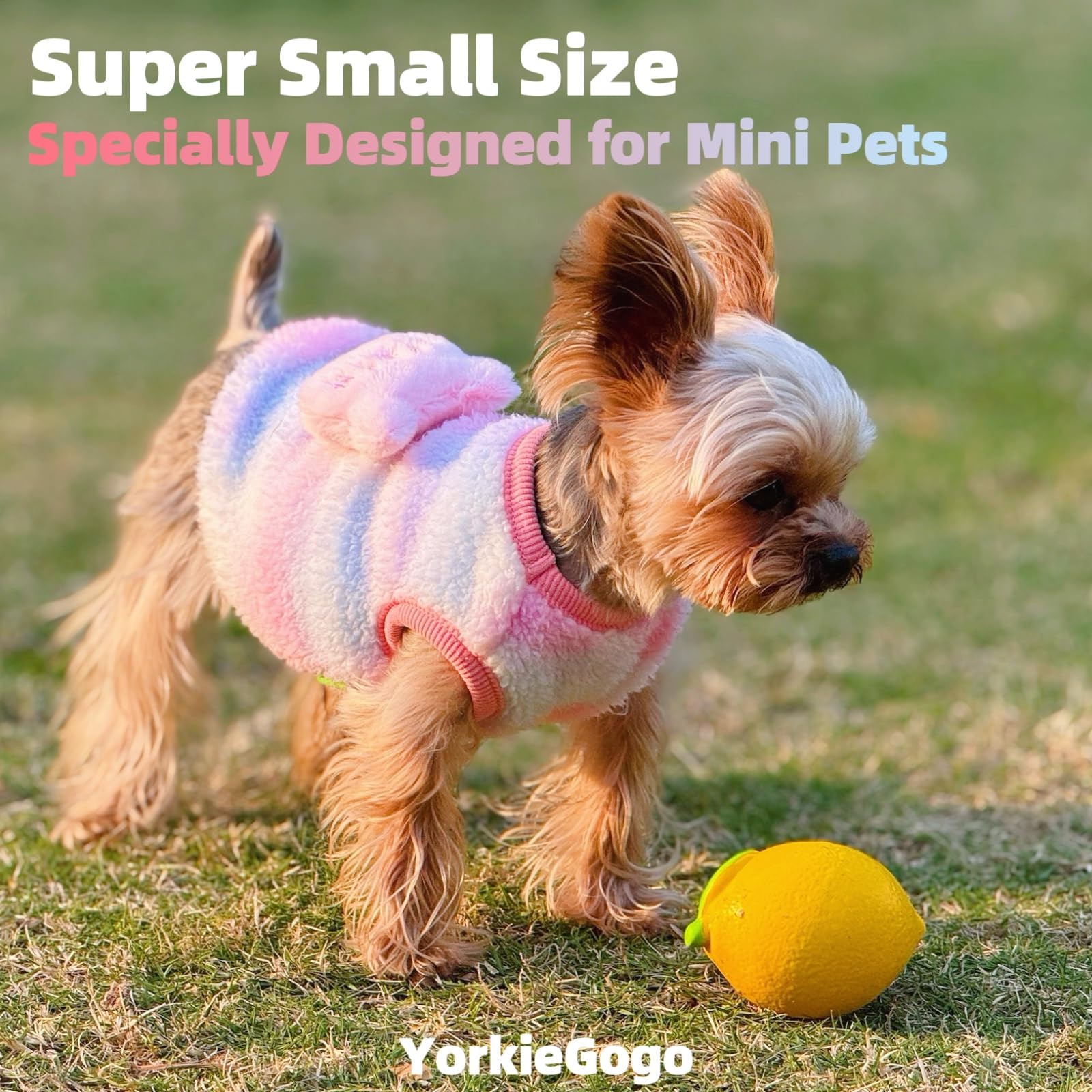YorkieGogo 4-Piece Tiny Pet Sweater Set – Candy-Colored Plush Shirts for XXS Dogs, Cats, and Small Animals (Gradient, 1.5-3 lbs)