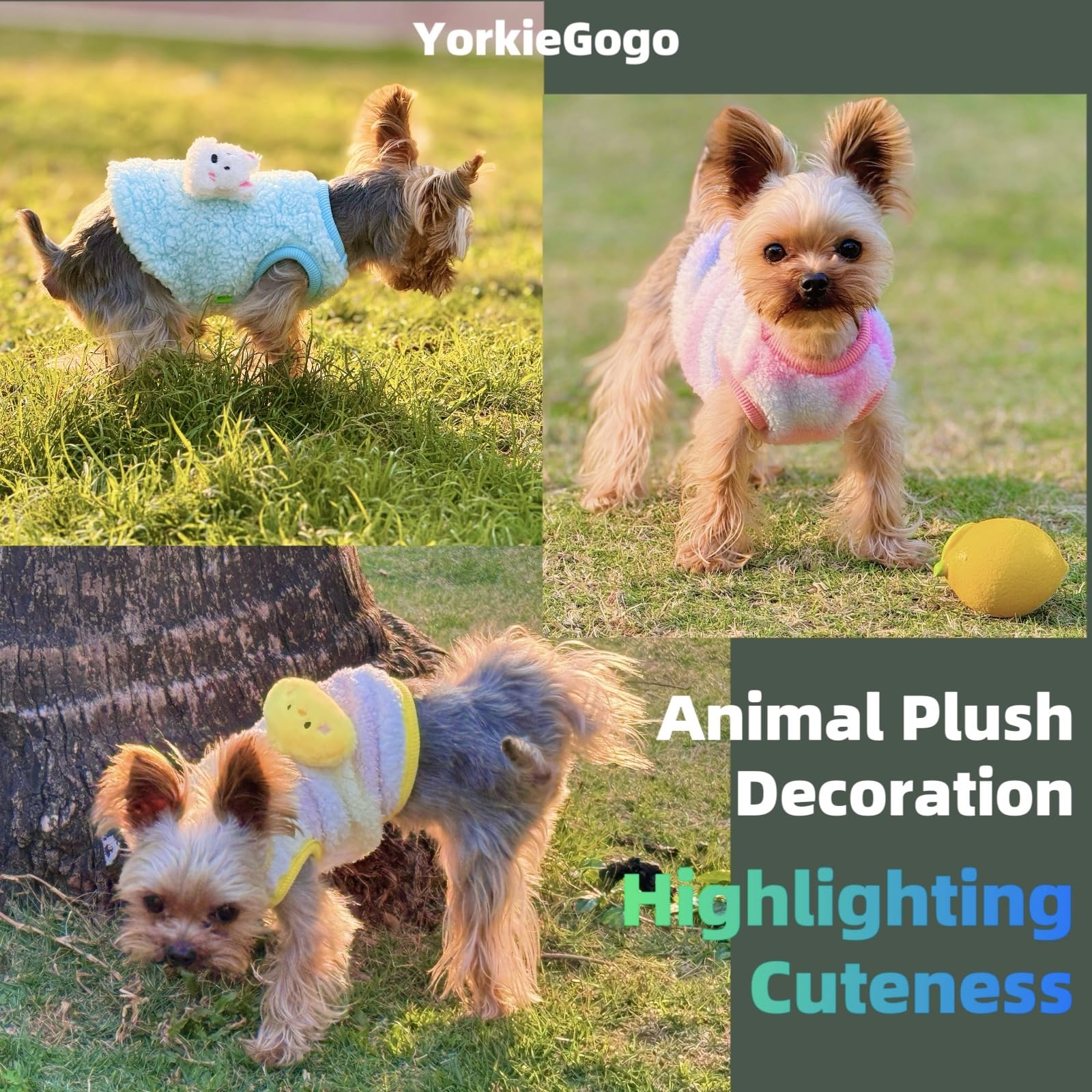 YorkieGogo 4-Piece Tiny Pet Sweater Set – Candy-Colored Plush Shirts for XXS Dogs, Cats, and Small Animals (Gradient, 1.5-3 lbs)