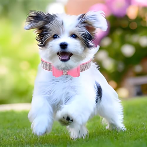 YOUALSO Pink Rhinestone Dog Collar and Leash Set with Bow Tie – Bling Crystal Collar for Small Dogs and Cats, XSmall