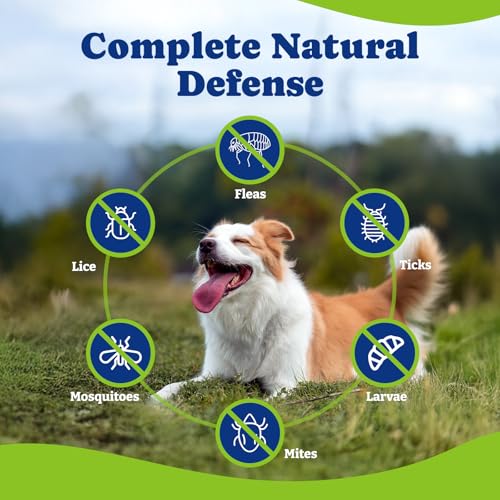 YoYoBay Natural Flea & Tick Prevention Chewables for Dogs – Bacon & Sweet Potato Flavor, 180 Soft Chews