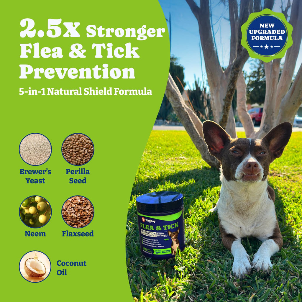 YoYoBay Natural Flea & Tick Prevention Chewables for Dogs – Bacon & Sweet Potato Flavor, 180 Soft Chews