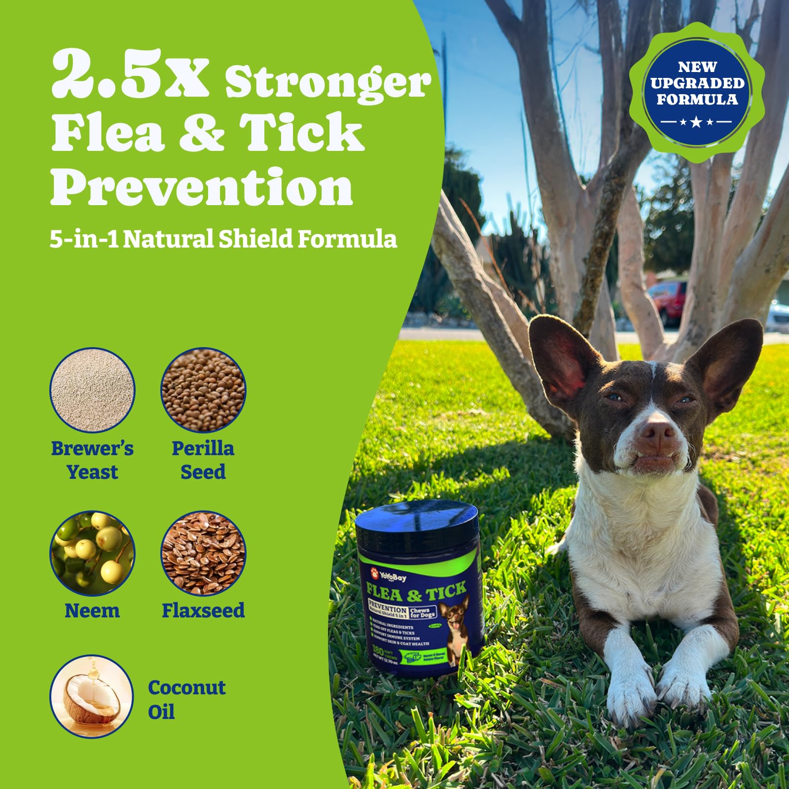 YoYoBay Natural Flea & Tick Prevention Chewables for Dogs – Bacon & Sweet Potato Flavor, 180 Soft Chews