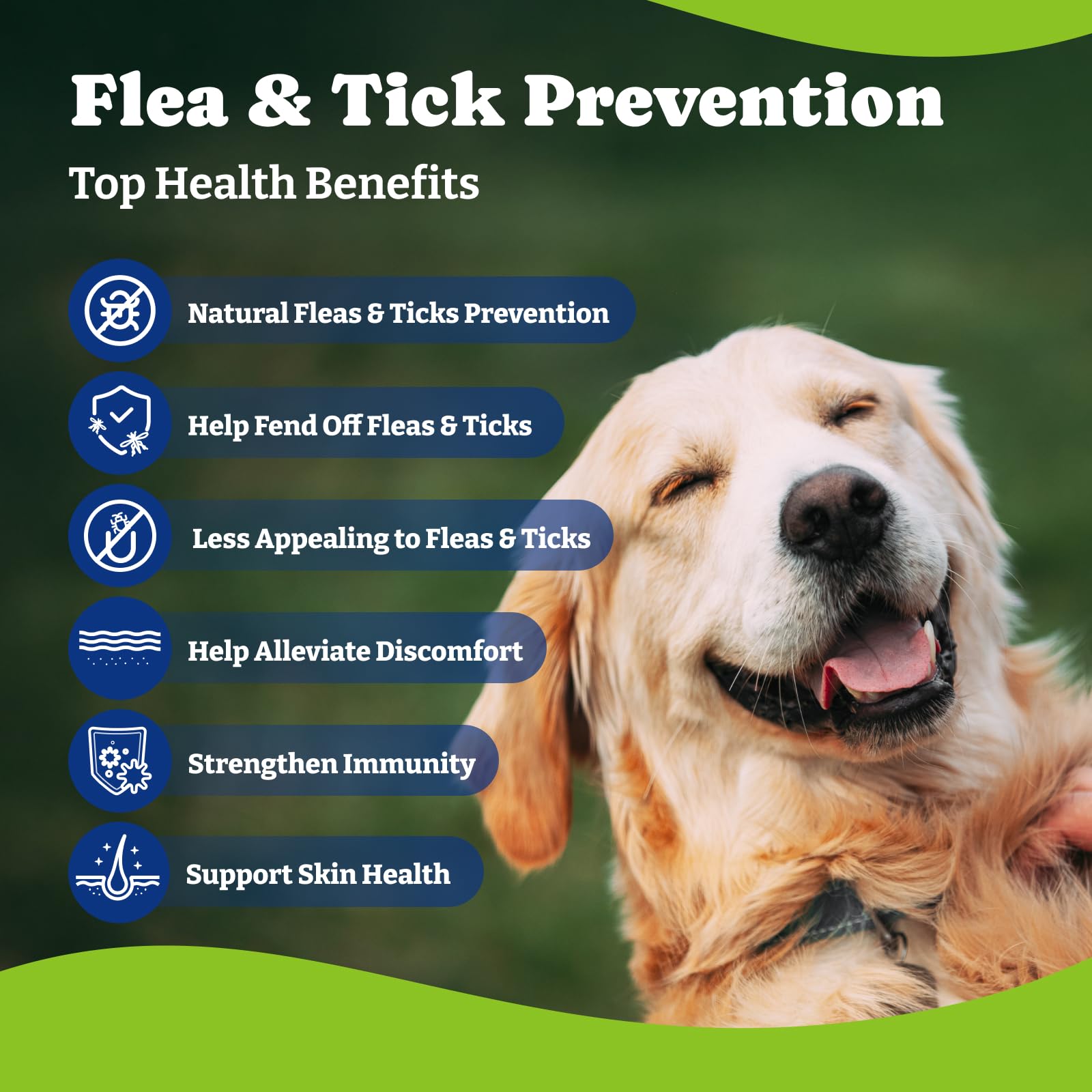 YoYoBay Natural Shield 5-in-1 Flea & Tick Chewables for Dogs – 180 Beef & Carrot Soft Chews