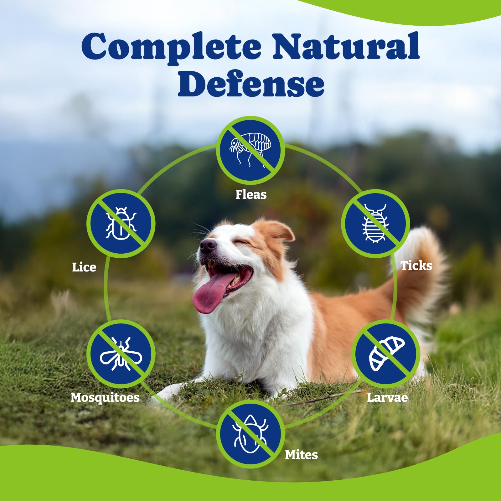 YoYoBay Natural Shield 5-in-1 Flea & Tick Chewables for Dogs – 180 Beef & Carrot Soft Chews