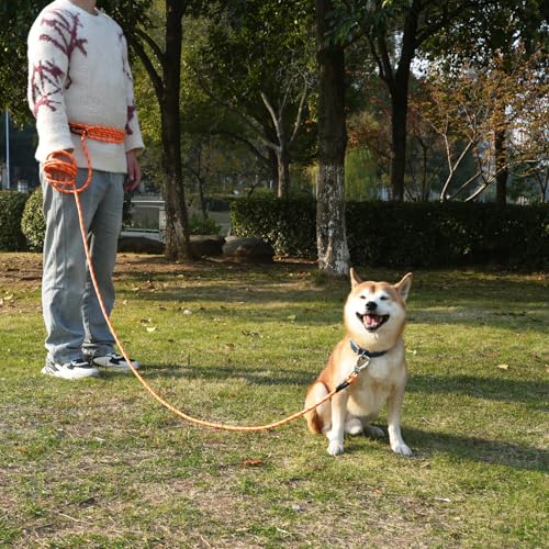 ZALER 20FT Black Dog Training Leash with Reflective Threading and Screw Lock Carabiner