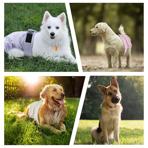 ZINGTERRA 3 Pack Washable Female Dog Diapers - Reusable, Leakproof, Adjustable for Heat & Incontinence - Size S (Newborn-11.5" Waist)