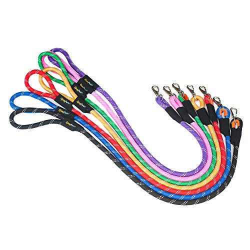 ZippyPaws 6 ft Nylon Rope Leash for Dogs – Purple, Durable and Secure