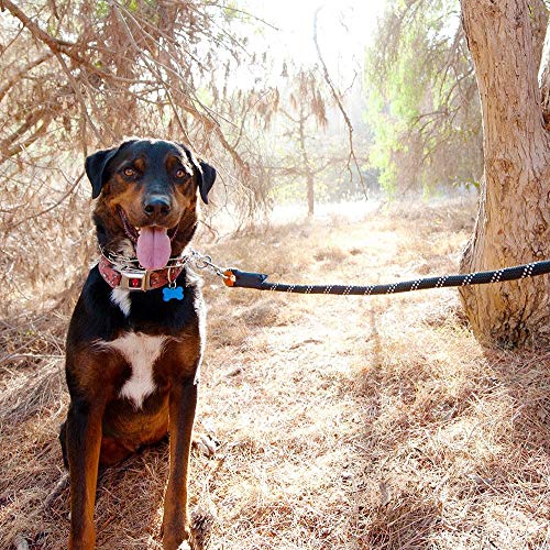 ZippyPaws 6 ft Nylon Rope Leash for Dogs – Purple, Durable and Secure