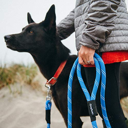 ZippyPaws 6 ft Nylon Rope Leash for Dogs – Purple, Durable and Secure
